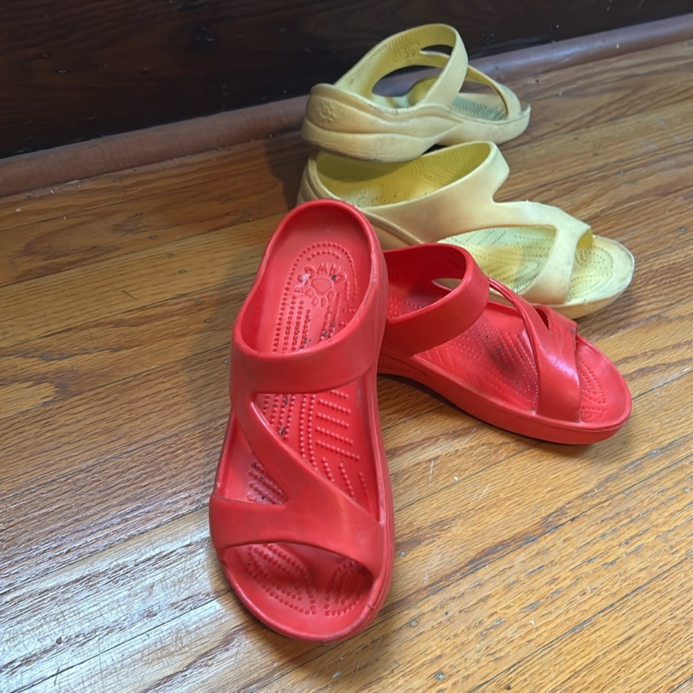 Z slides by Dawgs